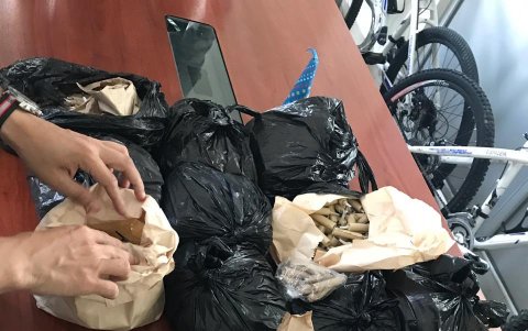 Los operativos se ejecutarán en diversos horarios y toda la ciudad.