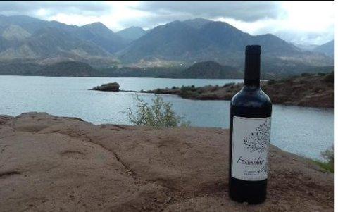 Desde el domingo 29 de diciembre ya se encuentra el vino en el país.