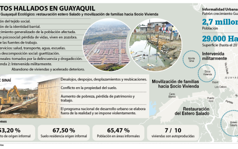 Principales hallazgos.