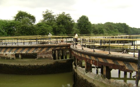 La planta garantizará el acceso al 100 % del sistema sanitario de ciudadanos del sur y
centro de Guayaquil, asegura Emapag.