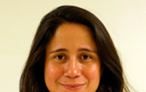 Siete obras sobresalen en la lista de Balladares