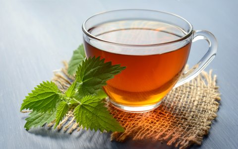 El té verde es uno de los que mayores beneficios ofrece, según estudios.