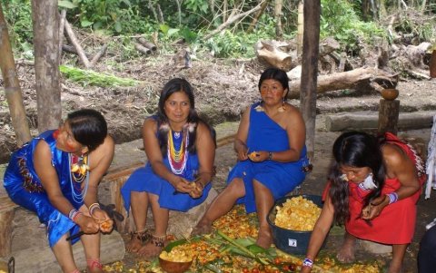 El chontaduro es una de las frutas típicas de la zona, son peladas y cocinadas para luego convertirlas en chicha.