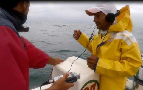 Sondeo. Dos expertos escuchan los sonidos durante la pesca ancestral.