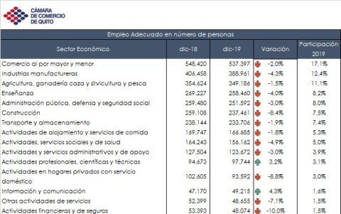 Composición de empleados, por rama económica
