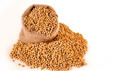 La soya reduce el riesgo de una cardiopatía, ayuda en los trastornos de la menopausia y menstruales. Es antioxidante e hidratante para la piel.