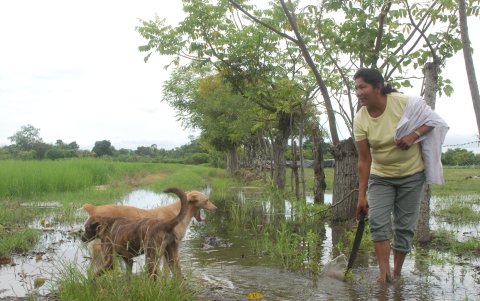 La tasa de empleo en el sector rural muestra un descenso significativo.