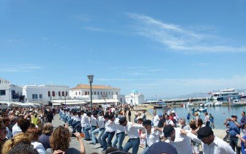 Mientras usted recorre la isla, se puede encontrar con un espectáculo digno de aplaudir.