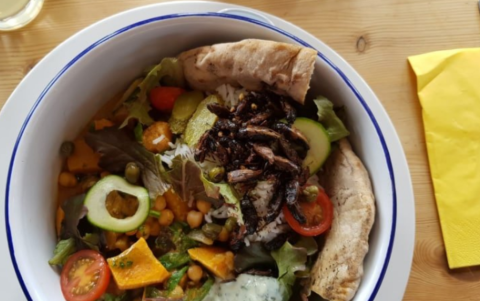Insectos al curry es uno de los platos con mejores valoraciones en Tripadvisor.