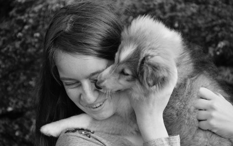 Tenga presente que los animales también transmiten bacterias y parásitos.