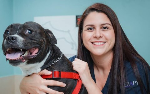 La doctora Paula Morales explica que tanto perros como gatos se afectan por comer grillos.