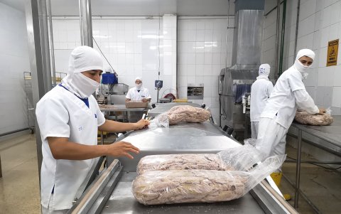 Los lomos precocidos son empacados al vacío en fundas.