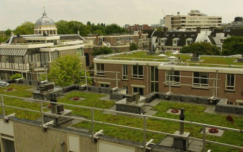 Techos verdes. La implementación de estos, a decir de los expertos, es una de las tendencias que deben adoptarse en los barrios guayaquileños donde hay edificios altos.