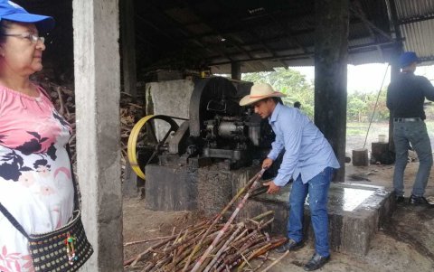 Cocción. Una vez extraído el jugo se lo hierve a altas temperaturas.