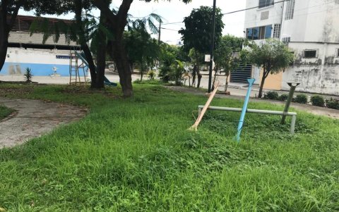 Los juegos infantiles están rodeados de maleza.