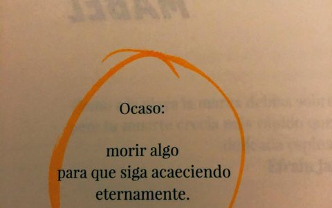 Lectores registraron fotos con fragmentos y versos de la obra en redes sociales.