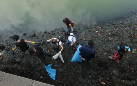 Antes de la siembra, los estudiantes realizaron una minga de limpieza en las riveras del estero.