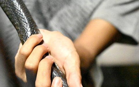 Un vendedor vierte la sangre de una cobra en un vaso, en un puesto de venta en Yakarta.)