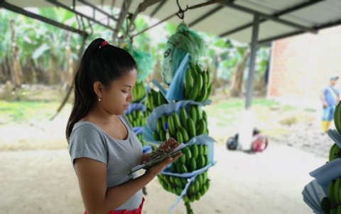 Detalles. Cualquier particularidad del producto se anota en una bitácora para el registro y las estadísticas.
