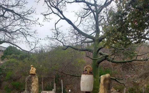 En Sacachún esta ubicado este espacio donde están las piedras ancestrales.