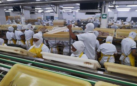 El financiamiento, clave para renovar la infraestructura pesquera.