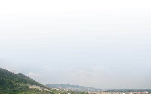 Hecho. Cerro Blanco es considerado el pulmón de Guayaquil, es un área protegida. Allí habitan decenas de especies.