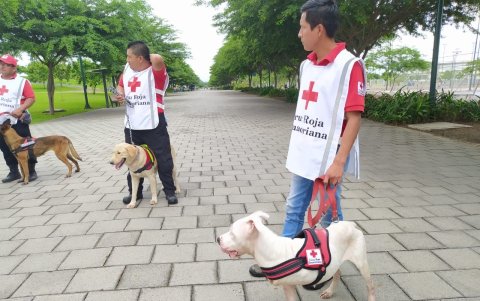 En el entrenamiento con personal de área de canino terapia.