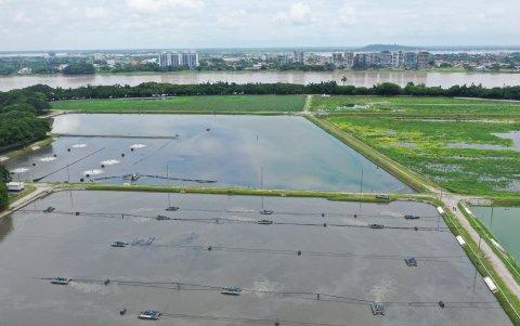 Los reportes por los mal olores han llegado también desde el otro lado del río Daule, de La Puntilla.