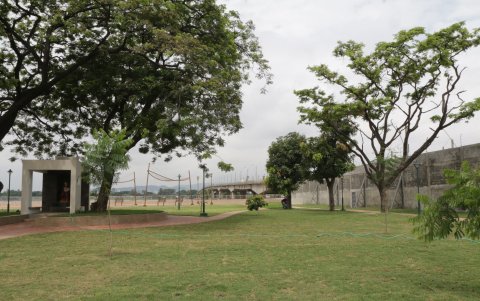 Hecho. Durante la gestión de esta directiva se han sembrado ya casi 5.000 metros cuadrados de áreas verdes. En estos 9 meses, se trabajó sobre 2.000 metros cuadrados.