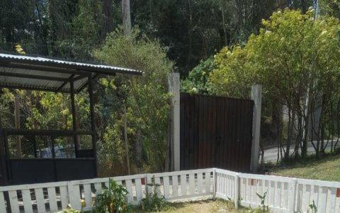 La veterinaria Wendy Rivera fue un pilar fundamental en la transformación de Odín, al igual que la rescatista Joyce Coffre.