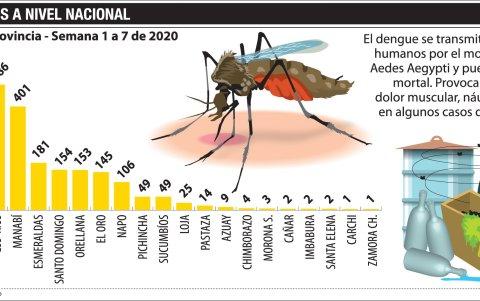 Cifras del dengue a nivel nacional