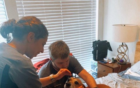 Los veterinarios le dieron atención de inmediato para evitar que se complique su estado.