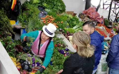 Alternativas.   Las hierbas para las aguas aromáticas se las consigue en los mercados de la localidad.
