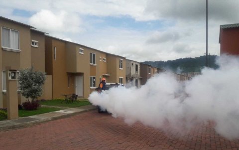 Fumigación. Aunque se realizan, los habitantes de la ciudad aseguran que son insuficientes. Solicitan que se hagan con frecuencia y en puntos claves, como la Alborada.