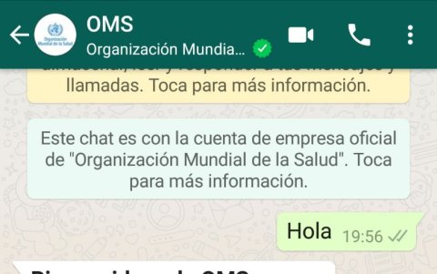 Para dar funcionamiento al nuevo servicio de la OMS solo hay que escribir la palabra 'hola' en la conversación.
