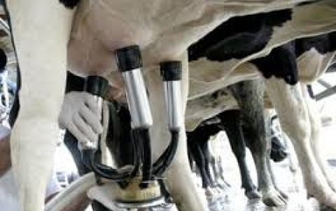 Las industrias producen menos.