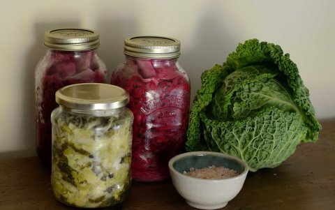 Coles, coliflores, zanahorias, rábanos y demás vegetales sirven para fermentar.