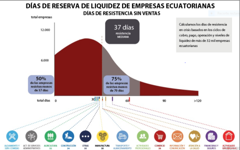 ¿Cuánta resistencia tendrían las empresas en la emergencia actual?