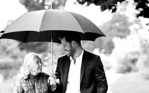 Jane junto a Harry. Ambos están en contacto permanente.