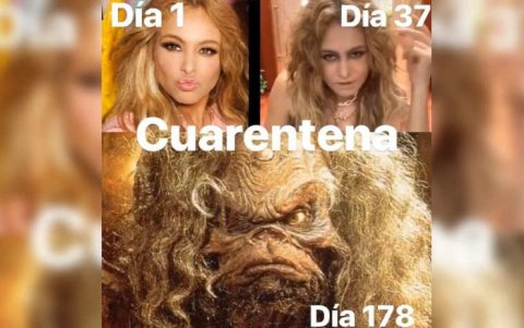 Uno de los memes que habla de la desastrosa participación de la artista mexicana desde su casa.