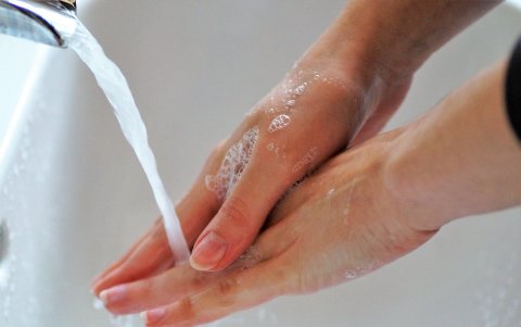 Es la mejor opción para eliminar las bacterias.