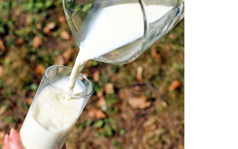 La leche y derivados lácteos son ricos además, en calcio.