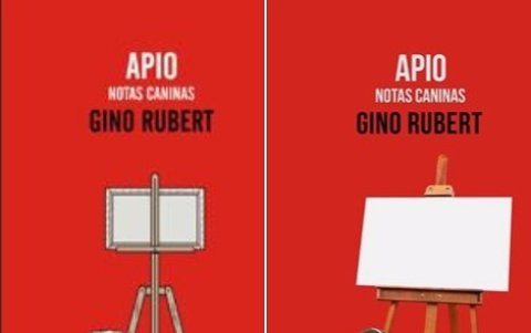 Los lectores deben recrear las portadas de sus libros favoritos y enviarlas.