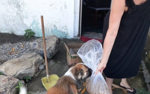 Los vecinos salen una vez a la semana para entregar comida para mascotas.