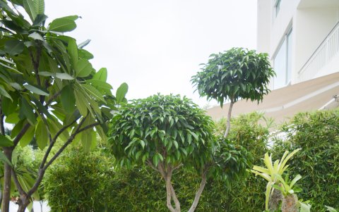 Detalles que capten tu atención son una buena alternativa como elemento decorativo.