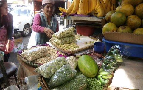 Abasto. La naturaleza nos ofrece tantas bondades que debemos aprovechar en consumirlas.