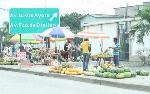 Situación. Las veredas de algunos sectores del norte se han convertido en pequeños mercados ambulantes. Hay quienes los prefieren para evitar las aglomeraciones.