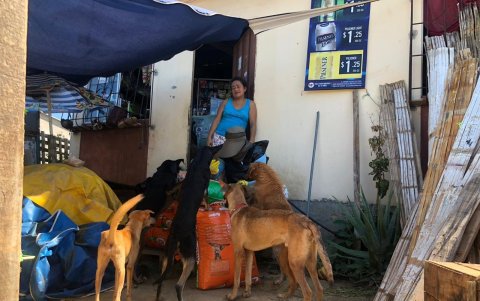 La donación llegó hasta la comuna de Engabao.