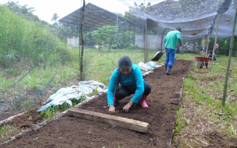 Salud. Se fomentan los cultivos orgánicamente para mantener la economía del hogar y también ayudar a una nutrición sana.