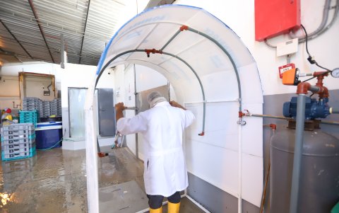 Un trabajador de Natluk, ubicada en Playas, atraviesa por uno de los dos túneles de desinfección que han ubicado en cada una de sus dos plantas.